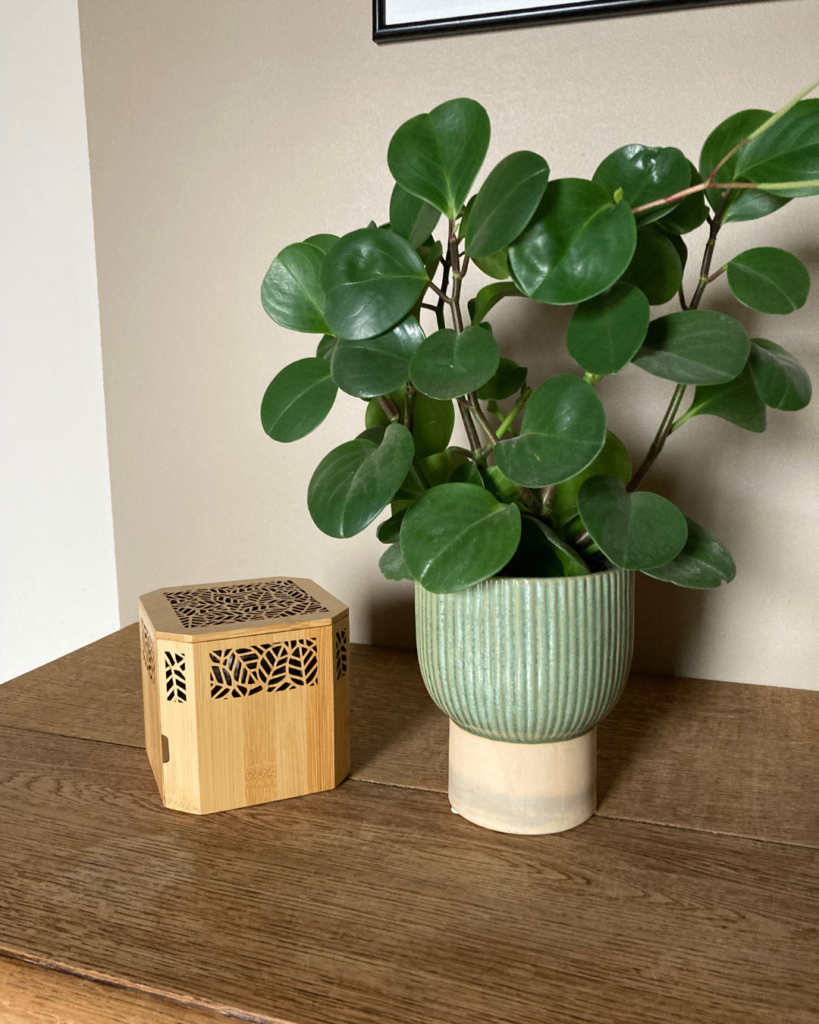 absorbeur d'humidité