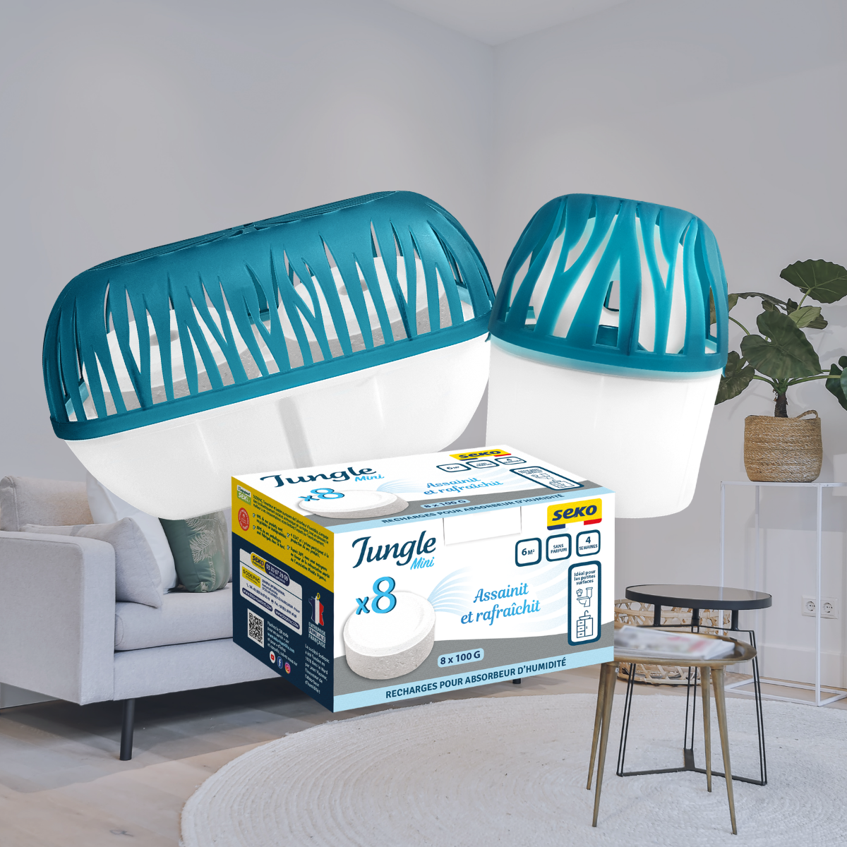 absorbeur d'humidité naturel